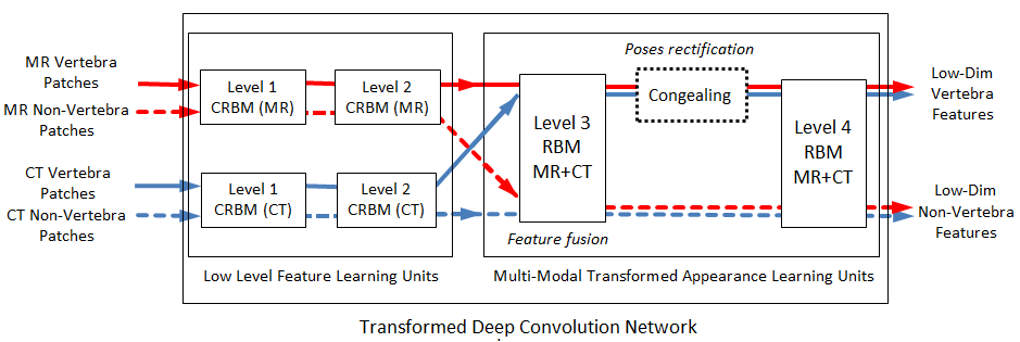 Transformed Deep Convolution Network